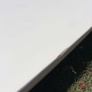 ss_210919131228593